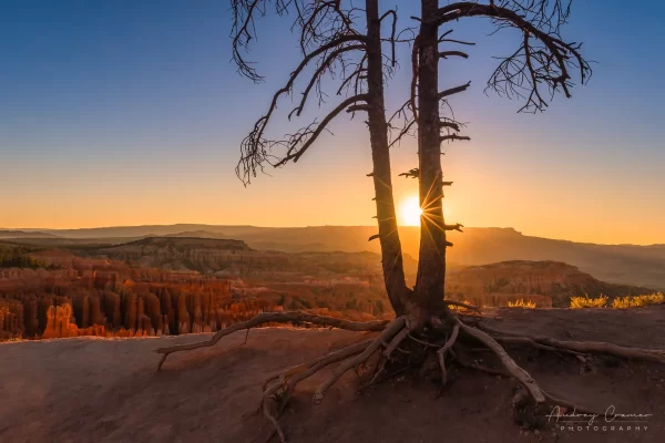 Cramer Imaging's fine art landscape photograph of the sun rising over Bryce Canyon National Park Utah on the summer solstice