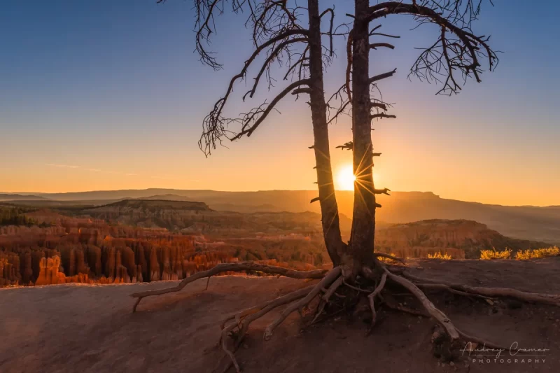 Audrey Cramer Photography's fine art landscape photograph of the sun rising over Bryce Canyon National Park Utah on the summer solstice