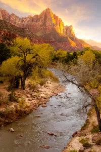 Cramer Imaging's professional quality landscape photograph of the Virgin River and mountains at sunset in Zion's National Park, Utah