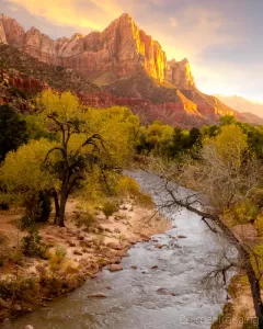 Cropped to 4:5 Cramer Imaging's professional quality landscape photograph of the Virgin River and mountains at sunset in Zion's National Park, Utah