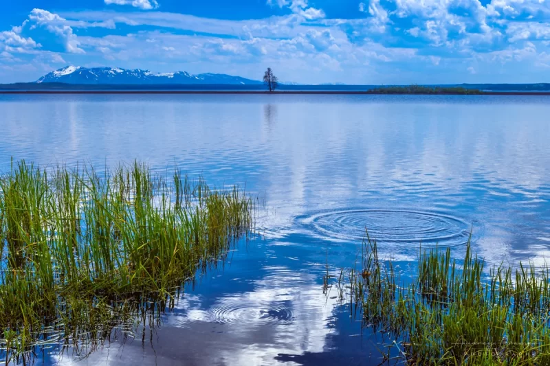 Audrey Cramer Photography's quality landscape photograph of the tranquil waters of Yellowstone Lake in Yellowstone National Park Wyoming