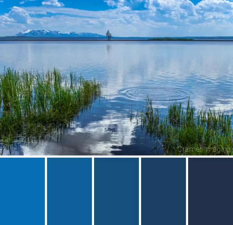 Color swatches pulled from Audrey Cramer Photography's landscape photograph titled "Tranquility"