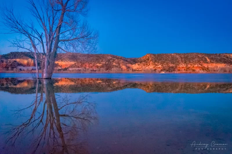 Audrey Cramer Photography's fine art landscape photograph of a tree reflecting in the water of Wide Hollow Reservoir Escalante Utah at twilight