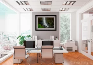 Cramer Imaging's staged photo of "Moss on the Rocks" on the wall of an office space