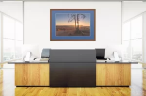 Cramer Imaging's staged photo of "Sun Dance" on the wall of a front office space