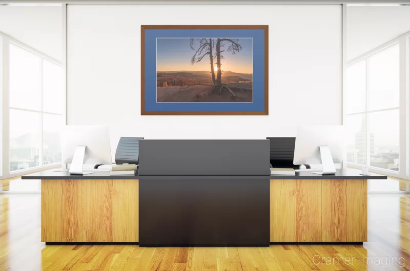 Audrey Cramer Photography's staged photo of "Sun Dance" on the wall of a front office space