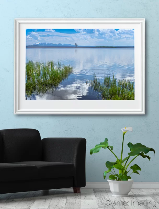 Photograph of Audrey Cramer Photography's fine art photograph 'Tranquility' on the wall of a room with a couch and lily flower