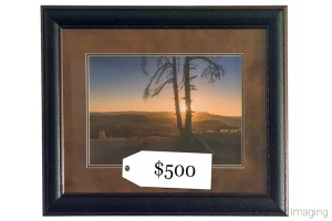 Cramer Imaging's graphic of framed fine art photography with a high price tag attached to it