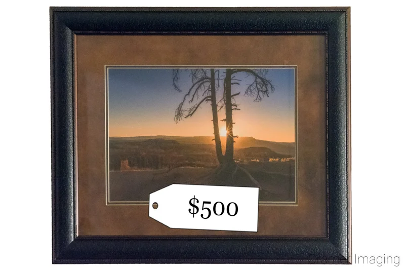 Audrey Cramer Photography's graphic of framed fine art photography with a high price tag attached to it