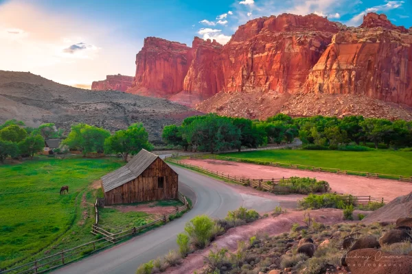 Audrey Cramer Photography's fine art landscape photograph of a horse grazing the field at the Gifford Barn in Capitol Reef National Park Utah at sunset