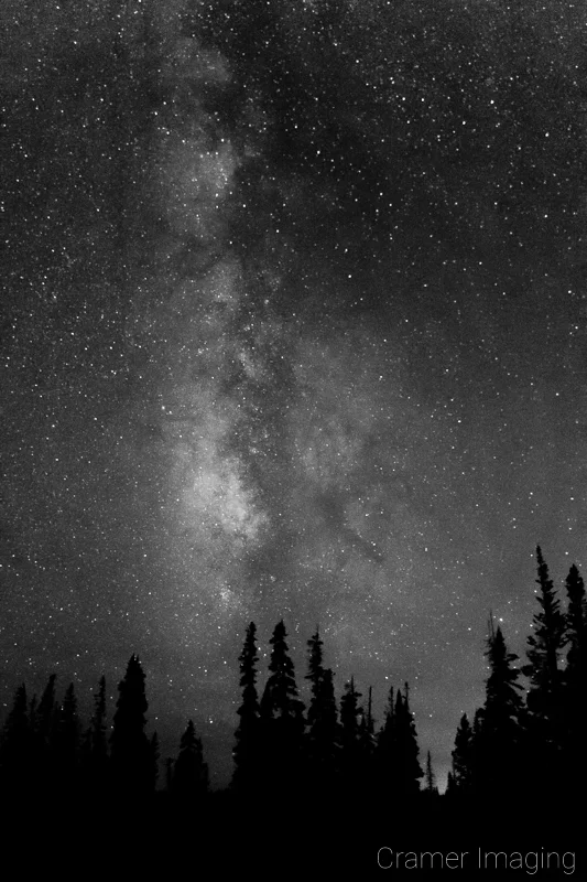 Audrey Cramer Photography's fine art astrophotography photograph of the Milky Way in the night sky with trees in silhouette in monochrome or black and white