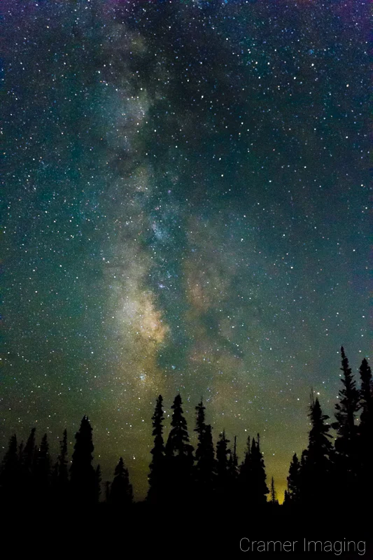 Audrey Cramer Photography's fine art astrophotography photograph of the Milky Way in the night sky with trees in silhouette