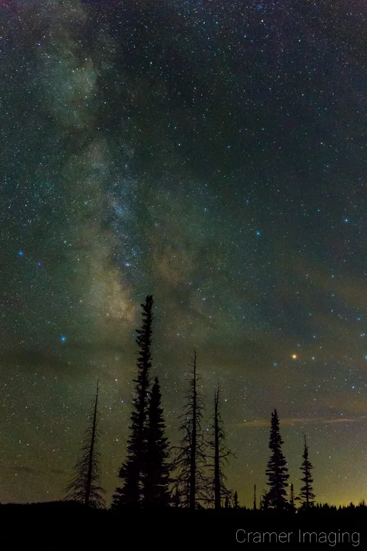 Audrey Cramer Photography's fine art astrophotography photograph of the Milky Way in the night sky with clouds and trees in silhouette