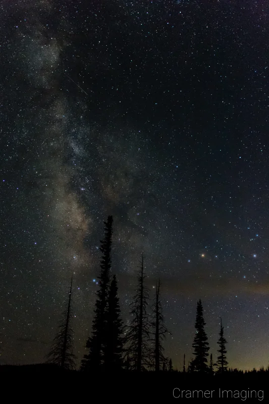 Audrey Cramer Photography's fine art astrophotography photograph of the Milky Way in the night sky with clouds and trees in silhouette