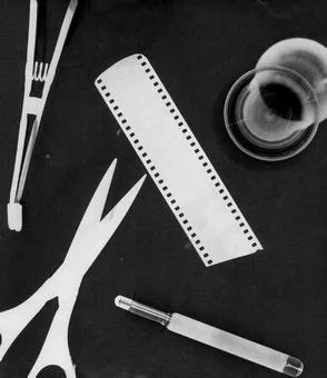 Image of a photogram showing several objects arranged on light-sensitive photo paper and exposed to light