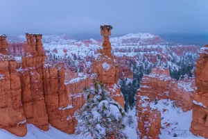 Cramer Imaging's fine art landscape photograph of Snow covering Thor's Hammer hoodoo, a tree, and Bryce Canyon National Park Utah and mist