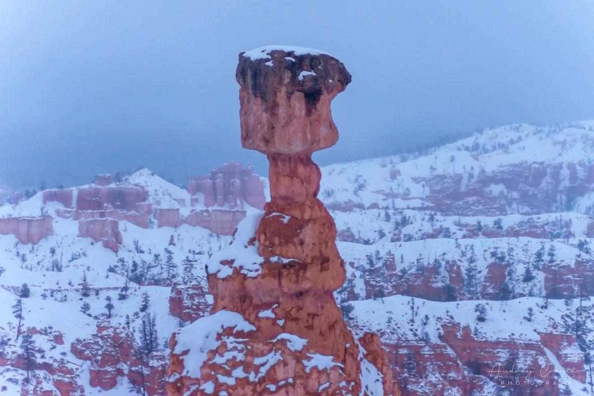 Audrey Cramer Photography's fine art close-up landscape photograph of Thor's Hammer hoodoo with snow and misty background in Bryce Canyon National Park Utah