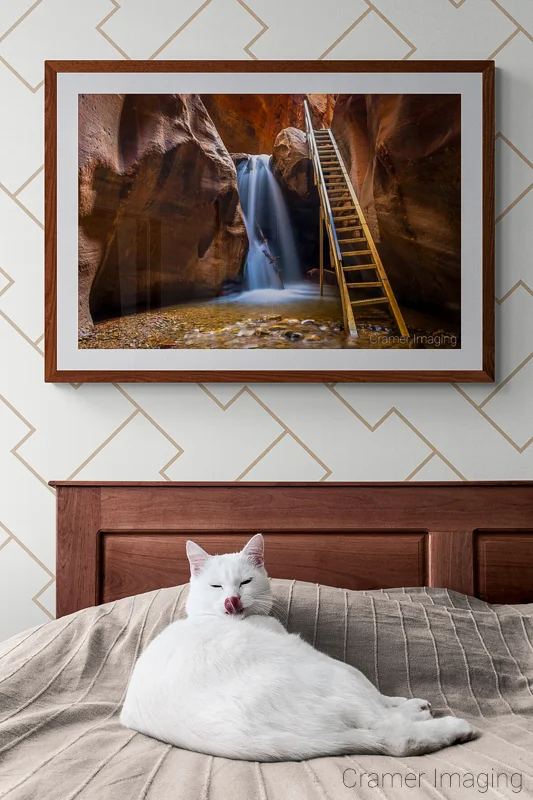 Photo of Audrey Cramer Photography's "Kanarra Falls" on the wall in a neutral-toned bedroom with a white cat sitting on the bed