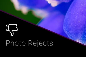 Read more about the article Photo Rejects