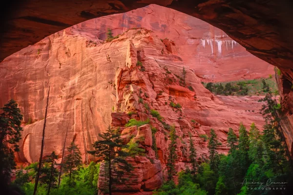 Audrey Cramer Photography's fine art landscape photograph of the view from Double Arch Alcove of Kolob Canyon in Zion National Park, Utah at sunset in spring