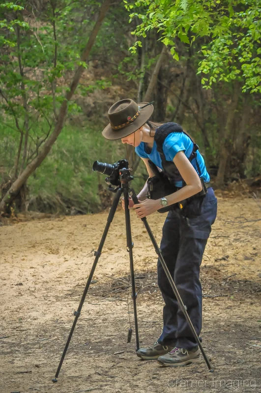 Photo of landscape photographer Audrey Cramer adjusting her tripod in preparation for a shot in a forest