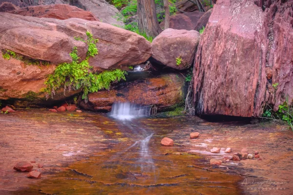 Fine art landscape photograph of a silky water stream flowing though the red rocks of Zion National Park, Utah with spring green plants by Cramer Imaging