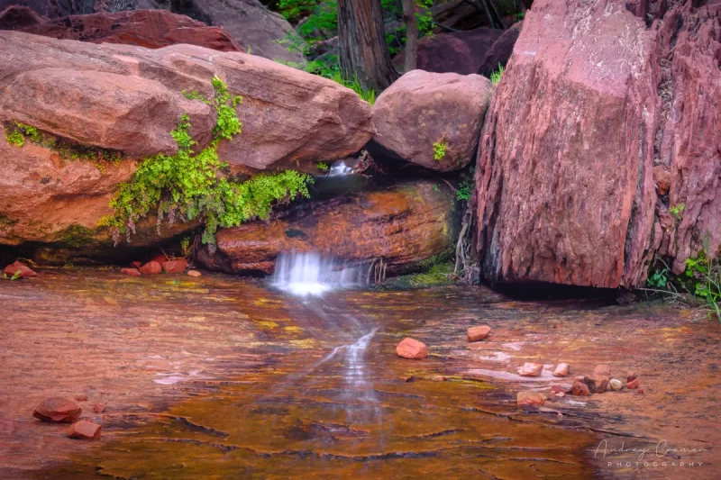 Fine art landscape photograph of a silky water stream flowing though the red rocks of Zion National Park, Utah with spring green plants by Cramer Imaging