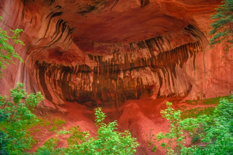 Cramer Imaging's fine art landscape photograph of the bottom alcove of Double Arch Alcove in Kolob Canyon of Zion National Park, Utah in spring