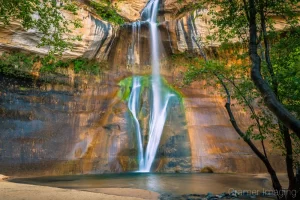 Cramer Imaging's fine art landscape photograph of trees surrounding Lower Calf Creek Falls waterfall in Escalante National Monument, Utah