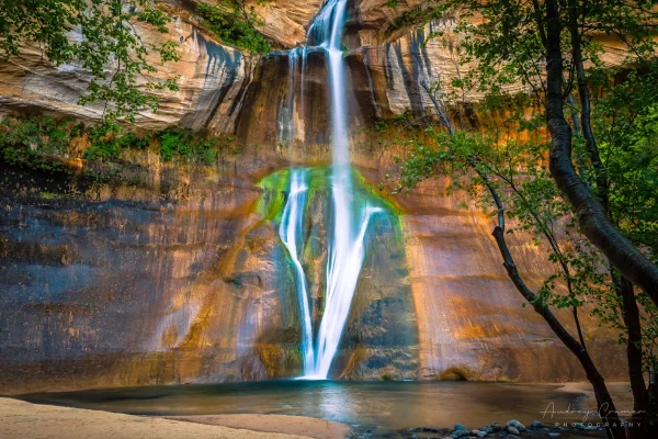 Audrey Cramer Photography's fine art landscape photograph of trees surrounding Lower Calf Creek Falls waterfall in Escalante National Monument, Utah