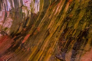 Audrey Cramer Photography's fine art nature photograph of close-up texture of a rock wall in Zion National Park, Utah