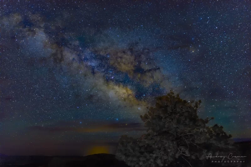 Audrey Cramer Photography's fine art landscape photograph of the Milky Way rising over Bryce Canyon National Park Utah and aligning with a tree