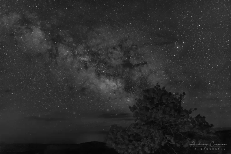 Audrey Cramer Photography's fine art landscape photograph of the Milky Way rising over Bryce Canyon National Park Utah and aligning with a tree in monochrome