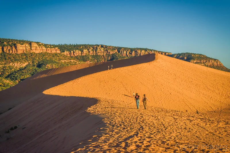 Audrey Cramer Photography's photo of people hiking the main sand dune at Coral Pink Sand Dunes State Park, Utah