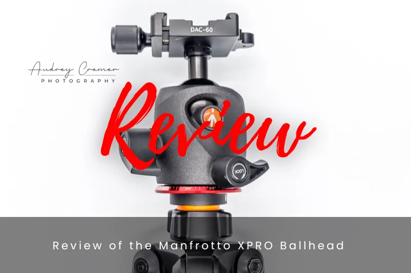 Read more about the article Review of the Manfrotto XPRO Ballhead