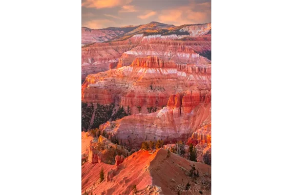 Audrey Cramer Photography's fine art landscape photograph of autumn or fall colors atop the cliffs of Cedar Breaks National Monument, Utah at sunset