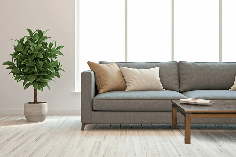 Image of a living room space with a couch or sofa, side table with lamp, coffee table with knick-knacks, and a potted plant