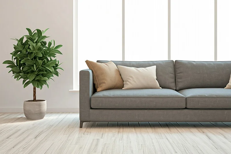 Image of a living room space with a couch or sofa and a potted plant