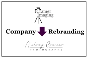 Read more about the article Company Rebranding