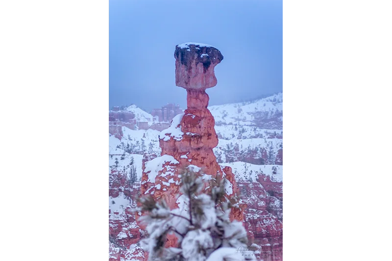 Audrey Cramer Photography's fine art landscape photograph of a frozen snowy landscape with Thor's Hammer hoodoo in Bryce Canyon National Park Utah