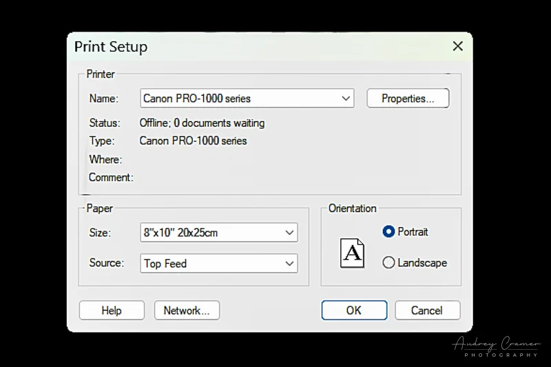 Screenshot of a print queue for a Canon Pro-1000 printer