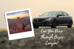 Can you drive through Bryce Canyon?