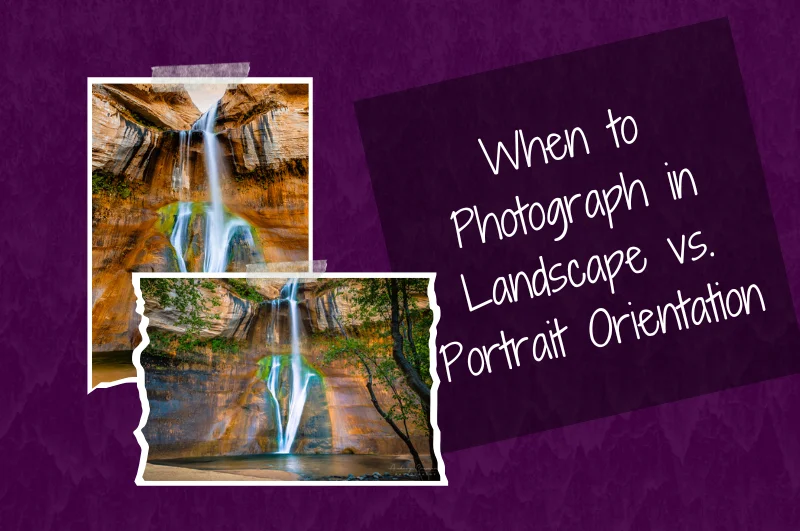 When to Photograph in Landscape vs. Portrait Orientation