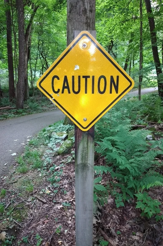 Photo of a yellow caution sign on a road in a forest