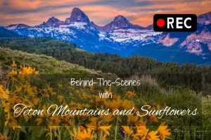Read more about the article Behind-the-Scenes with “Teton Mountains and Sunflowers”