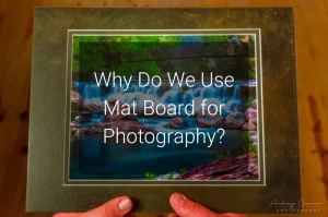 Read more about the article Why Do We Use Mat Board for Photography?