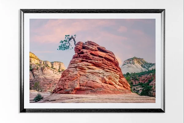 Photograph of Audrey Cramer Photography's landscape photo "Stunted" in a black picture frame