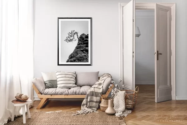 Photograph of Audrey Cramer Photography's landscape photo "Bonsai" in a cozy neutral-toned living room