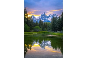 Buy Prints